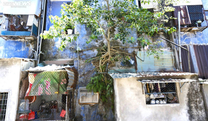 Theo các hộ dân, diện tích mỗi căn hộ chỉ 29-31 m2 nên họ phải sống trong cảnh chật chội. Do thiếu không gian sinh sống nên hầu hết các hộ dân tự cơi nới thêm để đủ đáp ứng sinh hoạt cần thiết cho cả gia đình. Đối với các gia đình có đông thành viên thì rất bức bí.