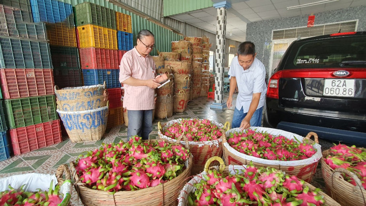 Các chi phí logistics đối với nông sản xuất khẩu còn nhiều rủi ro khó lường.