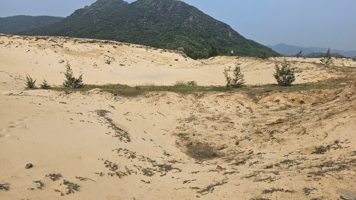 Hiện trường khu vực khai thác cát trái phép.