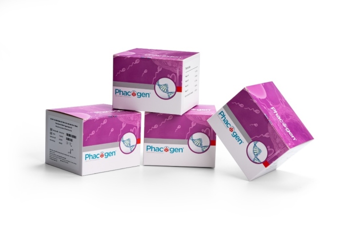 PCG® Sperm DNA Fragmentation Kit – sản phẩm xét nghiệm phân mảnh DNA tinh trùng “made in Vietnam” do Nhà máy Phacogen sản xuất.