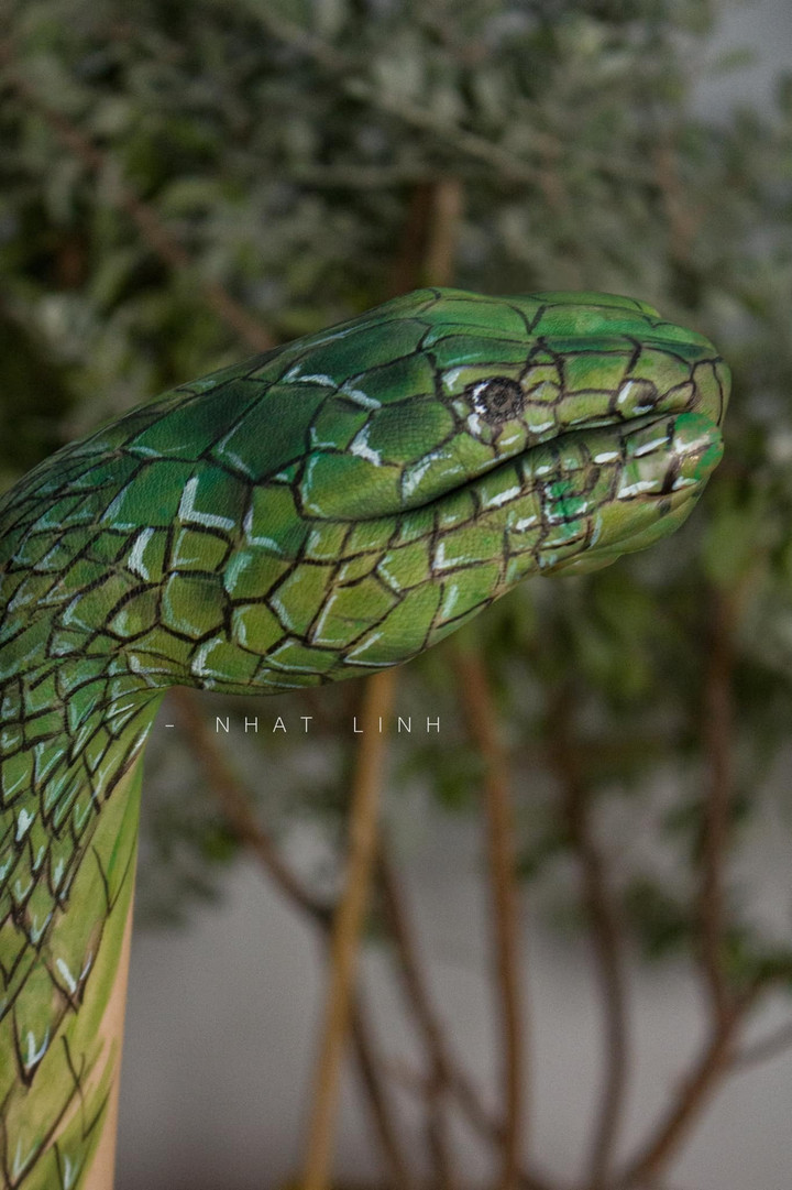 Cô gái Tày có biệt tài hoá trang, tự biến hình thành động vật, trái cây y như thật - 13