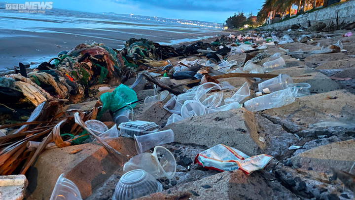 Theo ghi nhận của VTC News, dọc bãi biển Hàm Tiến - Mũi Né đủ các loại rác thải, bốc mùi hôi thối khó chịu, có nguy cơ ảnh hưởng đến môi trường biển.