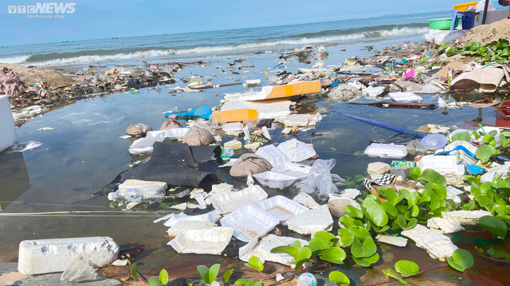 Bà Nguyễn Thị Hướng (62 tuổi, phường Hàm Tiến, TP Phan Thiết) buôn bán hải sản ở khu vực bờ biển gần 20 năm cho biết, từ tháng 6 trở lại đây, rác từ ngoài biển ùa vào bờ cộng với các hộ dân vứt rác bừa bãi khiến rác tồn đọng rất nhiều.