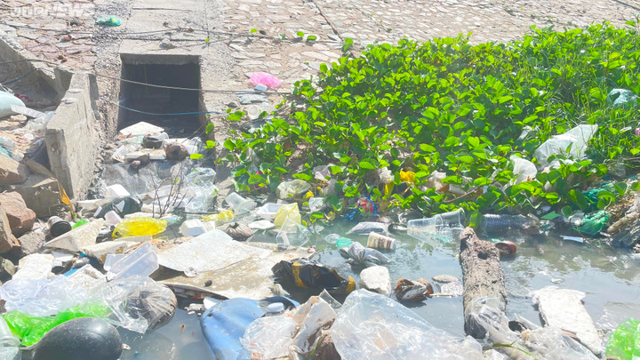 Bãi biển Mũi Né, là địa điểm du lịch được nhiều người biết đến, nhưng tình trạng rác thải bừa bãi không được dọn sạch ảnh hưởng không nhỏ đến cảnh quan môi trường, dần mất đi hình ảnh xanh,sạch, đẹp, trong mắt du khách.