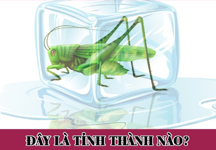 Câu đố IQ đoán tên tỉnh thành cực khó