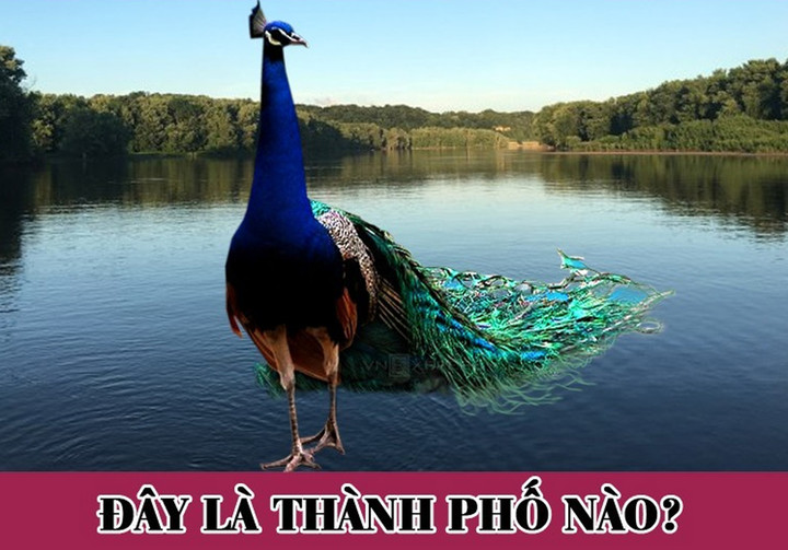 Câu đố đuổi hình bắt chữ này có làm khó bạn?