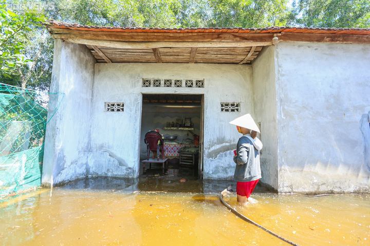 Người dân Hà Tĩnh ‘chạy lũ’ giữa nắng tháng 7 do cống nước không đóng kỹ - 4
