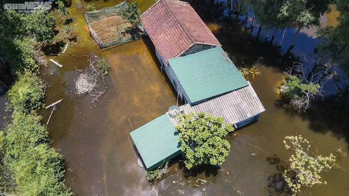“Một số nhà dân bị ngập sâu lên đến gần 1,2m. Ngoài ra, một số hộ bị ảnh hưởng đến lúa gạo và gia súc, gia cầm. Nhiều gia đình có trẻ nhỏ đã được di dời đi nơi khác. Chúng tôi đang khắc phục sự cố nêu trên”, lãnh đạo UBND xã thông tin thêm.