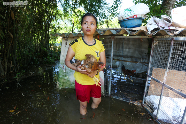 “Nhiều đồ đạc trong nhà không sơ tán kịp đã hư hỏng, đáng kể nhất là hơn 1,5 tạ lúa bị ngâm nước. Đây là lần đầu tiên chúng tôi phải chạy lũ giữa mùa hè", chị Anh cho biết thêm.