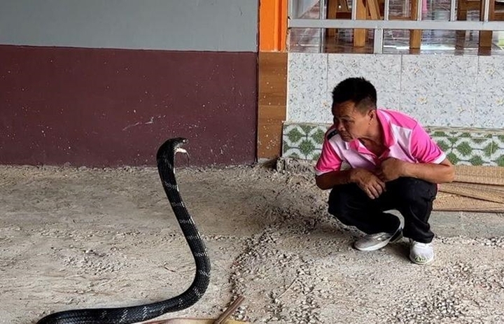Hiện tại, Thongkum Chaibuddee quyết định nghỉ hưu do sức khoẻ sa sút.