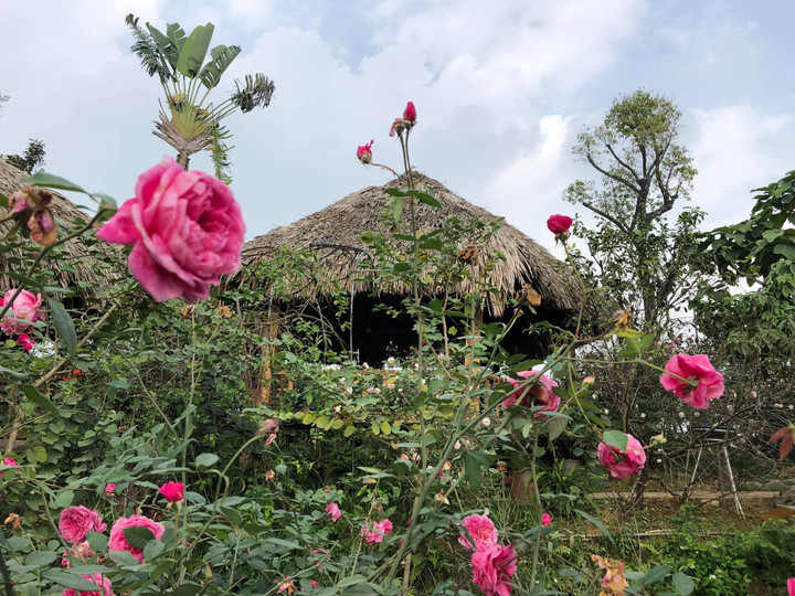 Hà Nội: Chủ nhà hàng sinh thái xót xa chịu cảnh chôn vốn khi 'đói khách' - 1