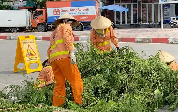 Cây xanh cũng được cắt tỉa và thu dọn trước khi có gió to, sóng lớn do ảnh hưởng của bão số 1.