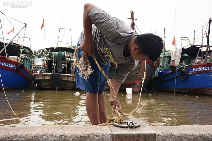 Chiều 17/7, ghi nhận của PV VTC News, tại Cảng cá Ngọc Hải (quận Đồ Sơn), hàng trăm tàu cá, tàu du lịch đã neo đậu an toàn.