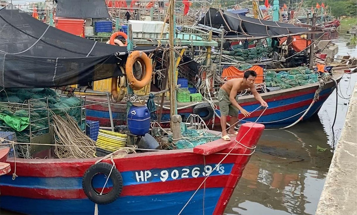 Ngư dân neo đậu tàu cá tại cảng.