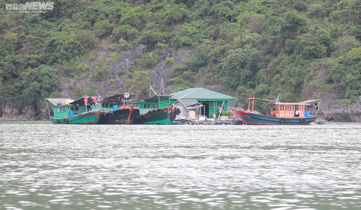 Kiên quyết sơ tán người dân trên lồng bè, chòi canh nuôi trồng thủy sản đến nơi an toàn trước khi bão ảnh hưởng trực tiếp. (Ảnh minh họa)