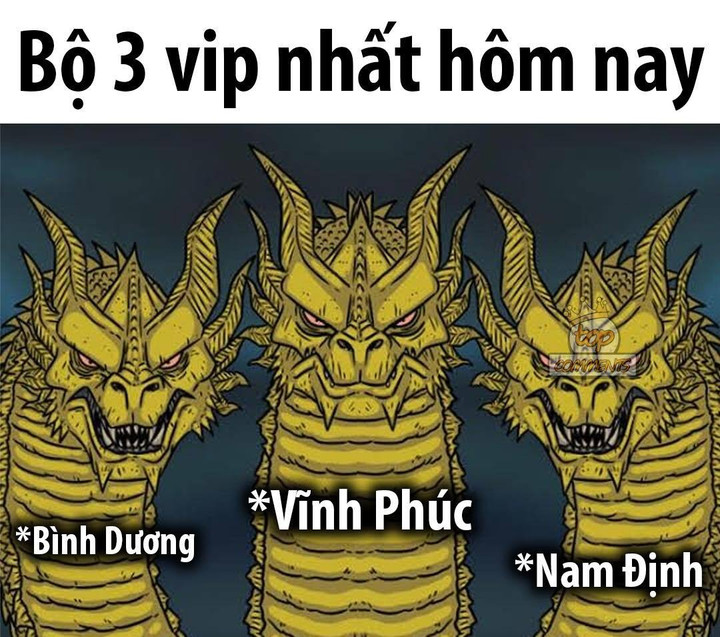 "Top 3 học giỏi nhất cả nước năm nay thuộc về Vĩnh Phúc, Bình Dương, Nam Định". (Ảnh: Top Comments)