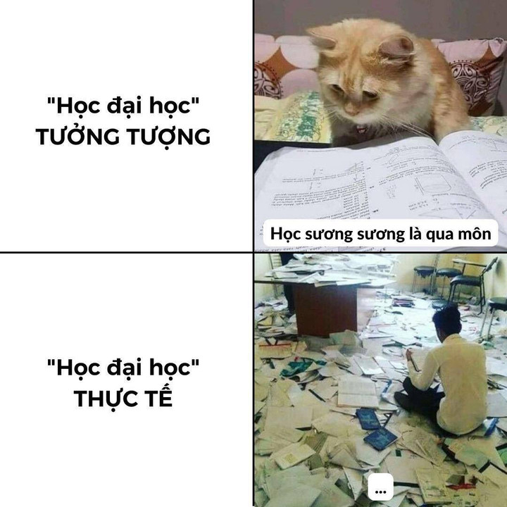 "Nghĩ vậy mà không phải vậy. Vượt qua kỳ thi tốt nghiệp rồi đừng tưởng sẽ được "xõa" vì cuộc sống sinh viên cũng vất vả không kém". (Ảnh: Trường người ta)