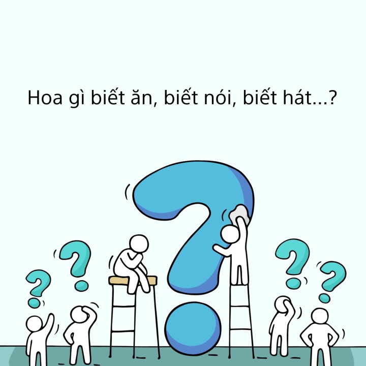 Tưởng không dễ nhưng dễ không tưởng, nhưng bạn có đủ thông minh để giải được câu đố này?