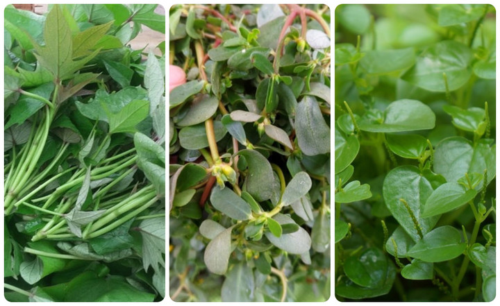 3 loại rau dân dã có nhiều vào mùa hè, tốt hơn 'nhân sâm, thuốc bổ' - 1