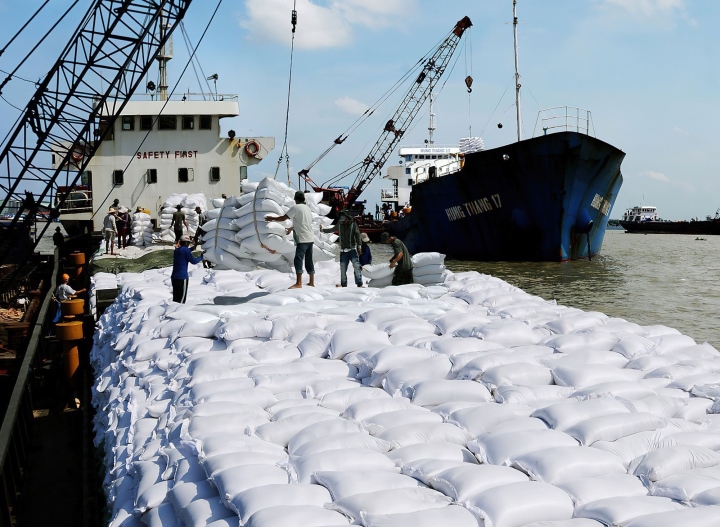Ấn Độ cấm xuất khẩu gạo tẻ thường, Bộ Công Thương khuyến cáo doanh nghiệp Việt - 1