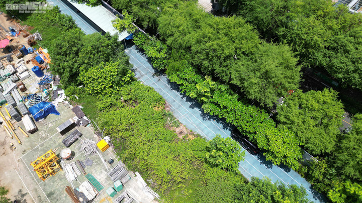 Dự án Nhà thi đấu Phan Đình Phùng nằm ở trung tâm TP.HCM bị cây cỏ phủ kín - 12