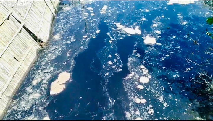 Nhiều cơ sở chế biến mực xà tại Bình Định ngang nhiên 'bức tử' môi trường - 6