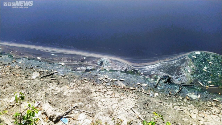 Nhiều cơ sở chế biến mực xà tại Bình Định ngang nhiên 'bức tử' môi trường - 3