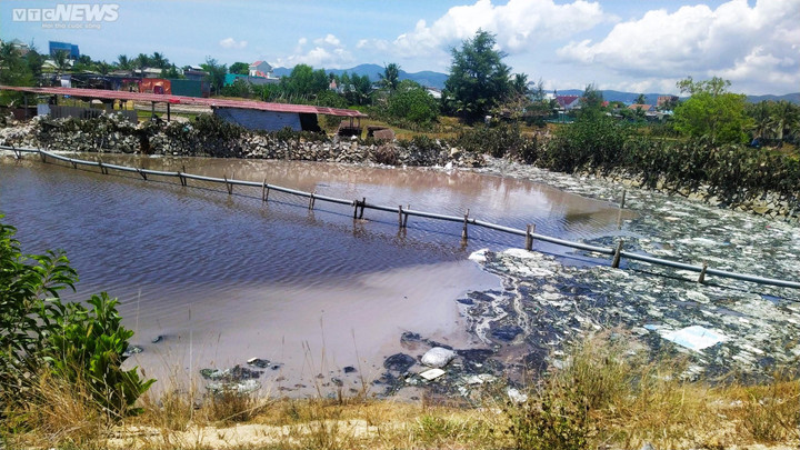 Nhiều cơ sở chế biến mực xà tại Bình Định ngang nhiên 'bức tử' môi trường - 5