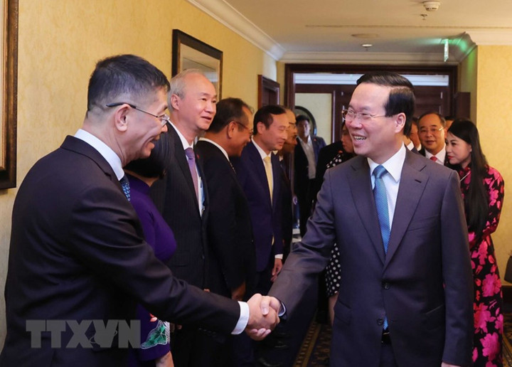 Những hoạt động đầu tiên của Chủ tịch nước tại Cộng hòa Áo - 10