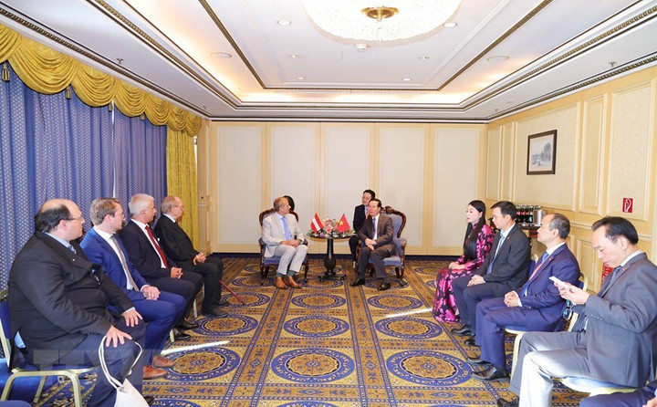 Những hoạt động đầu tiên của Chủ tịch nước tại Cộng hòa Áo - 2