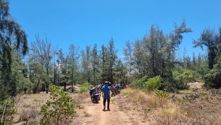 Phát hiện thi thể đang phân hủy trong rừng thông ở Quảng Nam - 1