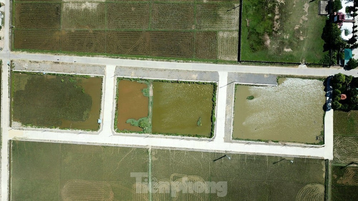 Sau đấu giá, 56 lô đất đều có chủ với tổng trị giá hơn 85 tỷ đồng. Đặc biệt, công chức kế toán xã Quỳnh Bá trúng đấu giá một lúc 23 lô đất khiến dư luận xôn xao.