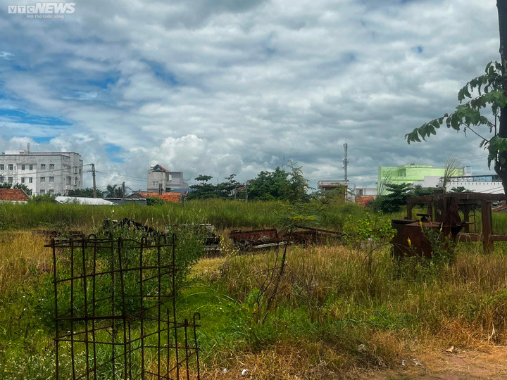 Dự án là một khu đất bỏ hoang, cỏ cây mọc um tùm