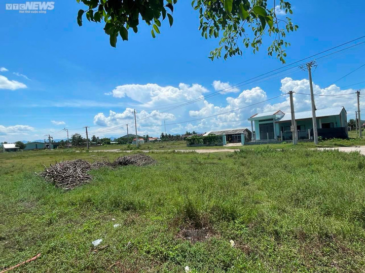 Khu TĐC Hòa Hội ở xã Cát Hanh (huyện Phù Cát) vắng hoe, cỏ dại mọc đầy.