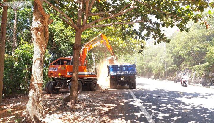 Cũng theo ông Thanh, từ đầu tháng 3 đến nay, lực lượng chức năng quận Sơn Trà đã xử lý được 15/58 công trình trái phép ở bán đảo Sơn Trà và đây là những trường hợp kinh doanh dịch vụ du lịch, nhà hàng, quán nhậu. Như vậy, đến thời điểm này không còn cơ sở nào hoạt động kinh doanh trên bán đảo Sơn Trà. Các trường hợp còn lại sẽ được xử lý trong thời gian sớm nhất.
