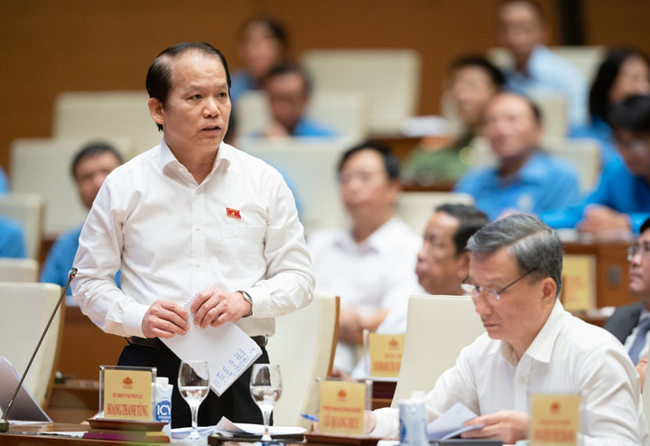 Chủ nhiệm Ủy ban Pháp luật Hoàng Thanh Tùng.