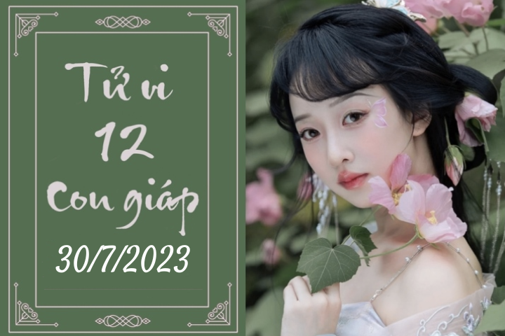 Tử vi vui 12 con giáp hôm nay ngày 30/7/2023: Tý phát triển, Thìn nhạy bén (Ảnh minh hoạ).