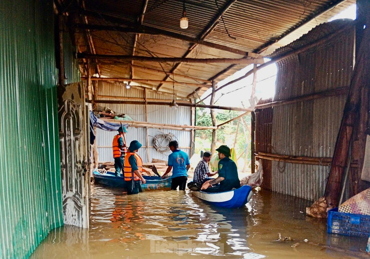 Lực lượng chức năng dùng thuyền để tiếp cận, đưa các hộ dân đến nơi an toàn.