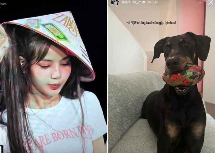 Lisa phiên bản trên sân khấu và "Lisa Việt Nam" khi đăng ảnh thú cưng, gửi lời chào người hâm mộ bằng tiếng Việt. Trên mạng xã hội, người hâm mộ bình luận: "Xong chuyến này chuyển sang Việt Nam sống và flex vô tư". Ảnh: lalalalisa_m.