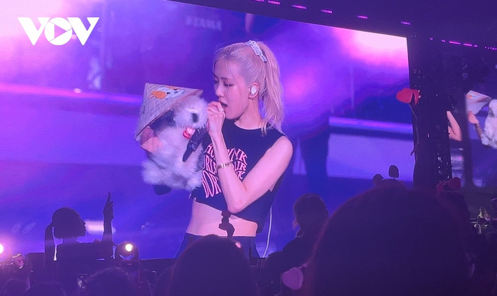 BLACKPINK tạo 'cú hích' cho các sao thế giới đến Việt Nam? - 4