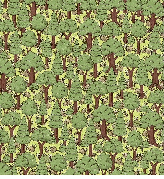 Thách bạn tìm con nhím trong 30 giây.