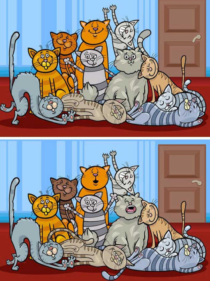 Bạn đã tìm thấy bao nhiêu vị trí khác nhau trong bức hình?