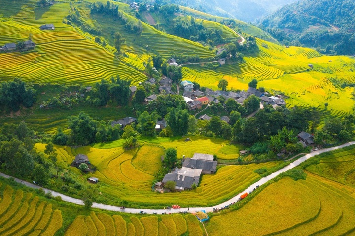 Ngỡ ngàng trước vẻ đẹp tựa tranh vẽ của ruộng bậc thang Sa Pa - 1