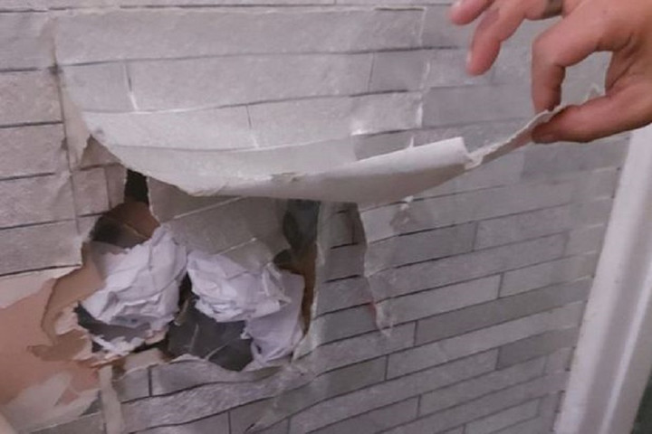 Chuột sinh sống trong những lỗ hổng trên tường.