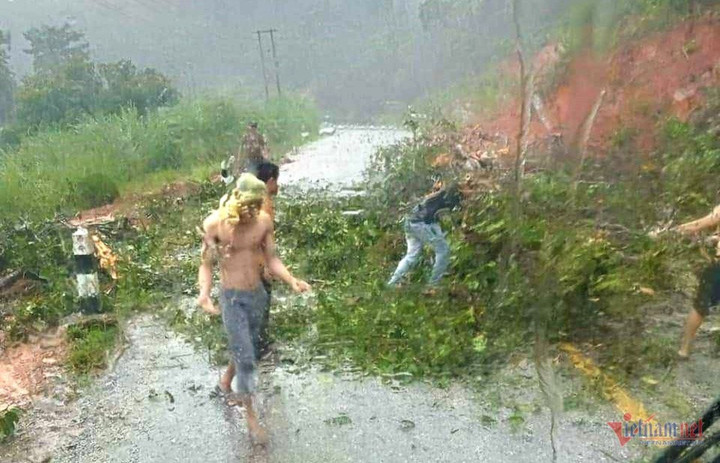 Nhóm tài xế dọn cây cối đổ xuống đường, mong sớm lưu thông qua cửa khẩu.