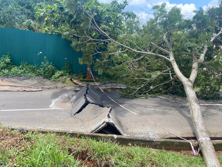 Cây xanh khu vực sạt trượt bị gãy đổ.