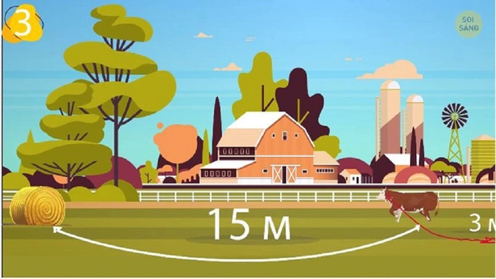 Bò sẽ ăn cỏ bằng cách nào đây?