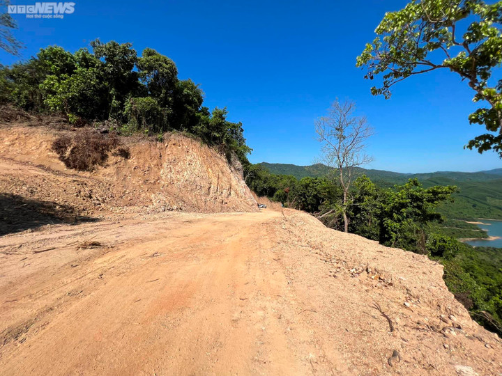 Rừng ở Đức Phổ bị chặt phá để mở đường.