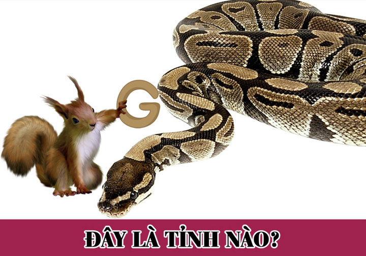 Bạn có dùng quá 5 giây cho câu đố đuổi hình bắt chữ này?
