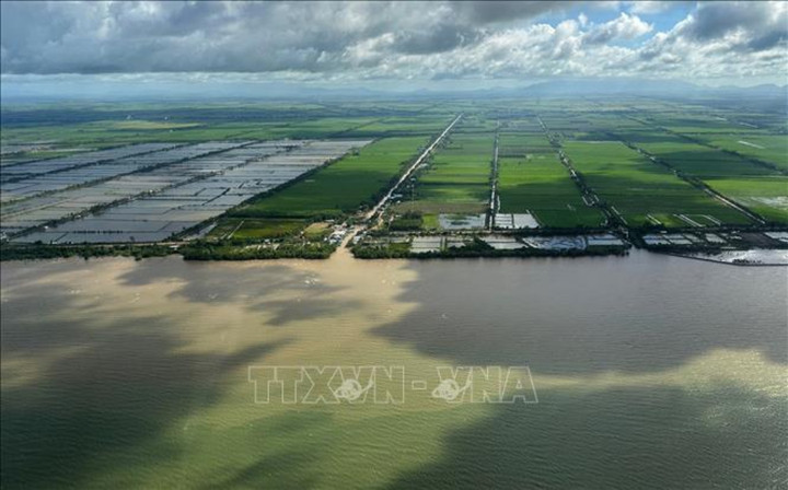 Vùng Đồng bằng sông Cửu Long. (Ảnh: Dương Giang/TTXVN)